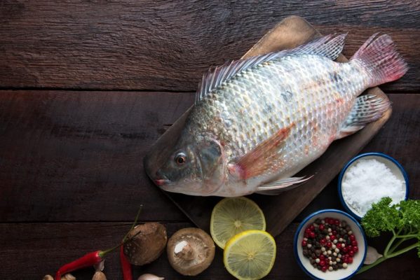 5 Manfaat Kandungan Gizi Pada Ikan Mujair - Faktual.id